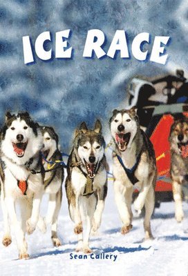Ice Race