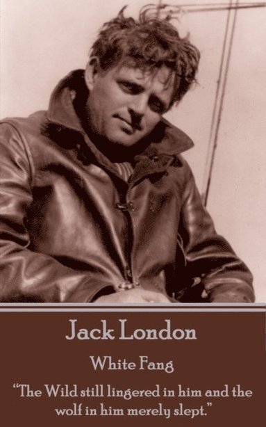 bokomslag Jack London - White Fang: 'The Wild still lingered in him and the wolf in him merely slept.'