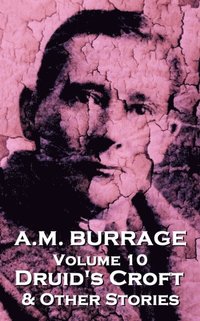 bokomslag A.M. Burrage - Druid's Croft & Other Stories