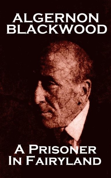 bokomslag Algernon Blackwood - A Prisoner In Fairyland