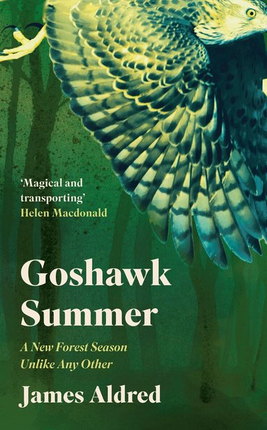 James Aldred - Goshawk Summer, Inbunden