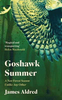 bokomslag Goshawk Summer