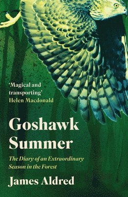 bokomslag Goshawk Summer