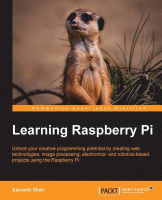 bokomslag Learning Raspberry Pi