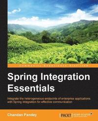 bokomslag Spring Integration Essentials