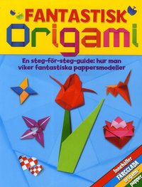bokomslag Fantastisk origami