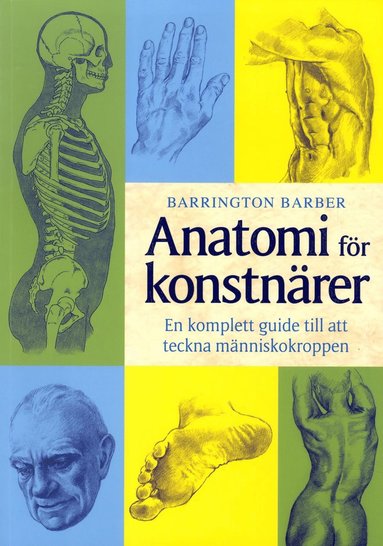 bokomslag Anatomi för konstnärer : en komplett guide till att teckna människokroppen