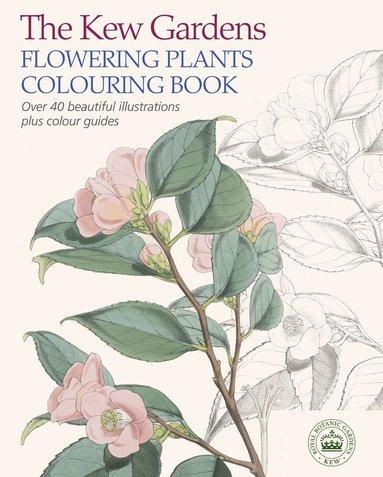 The Royal Botanic Gardens Kew - Kew Gardens Flowering Plants Colouring Book, Häftad