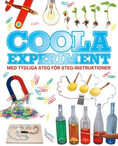 bokomslag Coola experiment