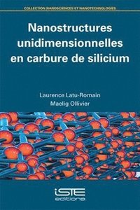 bokomslag Nanostructures unidimensionnelles en carbure de silicium