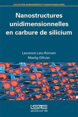 Laurence Latu-Romain, Maelig Ollivier - Nanostructures unidimensionnelles en carbure de silicium, Häftad
