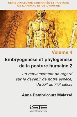 Embryogense et phylogense de la posture humaine 2 1