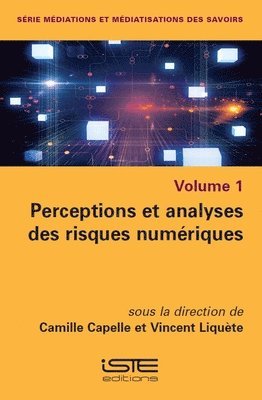 bokomslag Perceptions et analyses des risques numriques