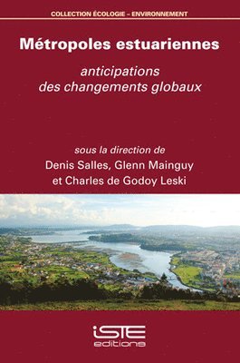 bokomslag Métropoles estuariennes