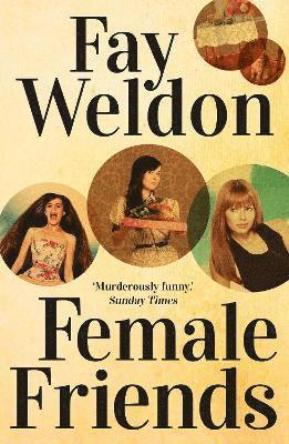Fay Weldon - Female Friends, Häftad