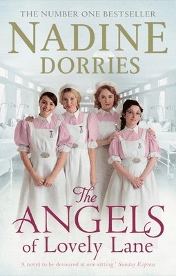 ANGELS OF LOVELY LANE
