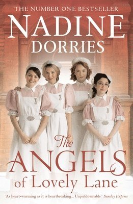 The Angels of Lovely Lane 1
