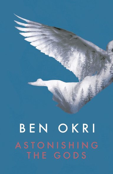 Ben Okri - Astonishing the Gods, Häftad