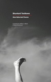 bokomslag New Selected Poems