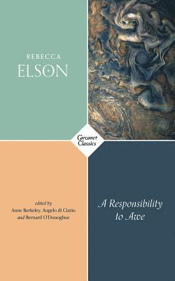 Responsibility to Awe