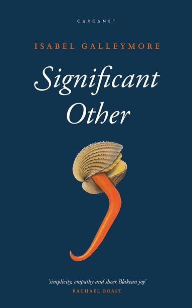 Isabel Galleymore - Significant Other, Häftad