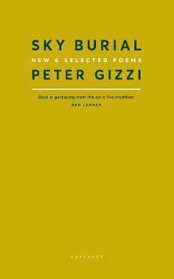 Peter Gizzi - Sky Burial, Häftad