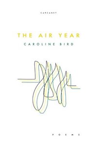 bokomslag The Air Year