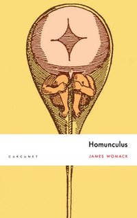 bokomslag Homunculus