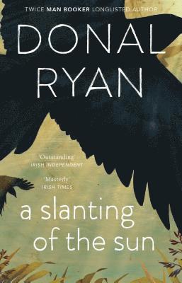 Donal Ryan - Slanting of the Sun: Stories, Häftad