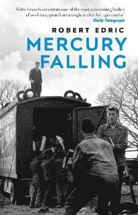 bokomslag Mercury Falling