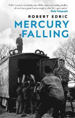bokomslag Mercury Falling