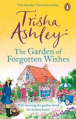 The Garden of Forgotten Wishes 1