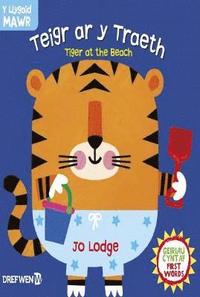 bokomslag Cyfres y Llygaid Mawr: Teigr ar y Traeth / Tiger at the Beach