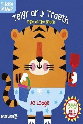 Cyfres y Llygaid Mawr: Teigr ar y Traeth / Tiger at the Beach 1