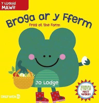 Broga ar y Fferm / Frog at the Farm 1