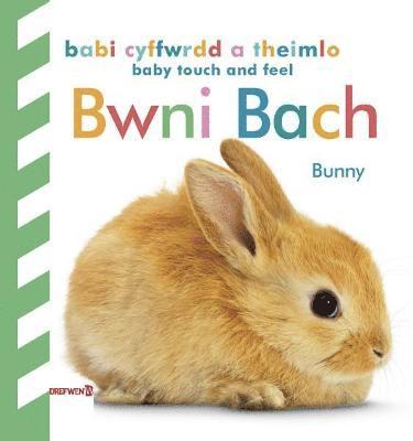 Babi Cyffwrdd a Theimlo: Bwni Bach / Baby Touch and Feel: Bunny 1