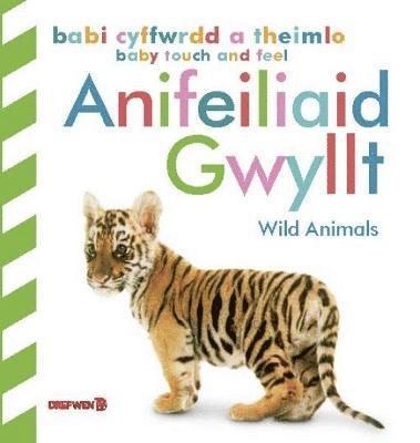 bokomslag Babi Cyffwrdd a Theimlo: Anifeiliaid Gwyllt / Baby Touch and Feel: Wild Animals