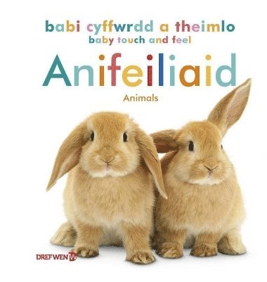 Babi Cyffwrdd a Theimlo: Anifeiliaid / Baby Touch and Feel: Animals 1