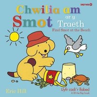 bokomslag Chwilia am Smot ar y Traeth / Find Smot at the Beach