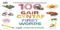 bokomslag Y Lindysyn Llwglyd Iawn yn cyflwyno 100 Gair Cyntaf (First Words)