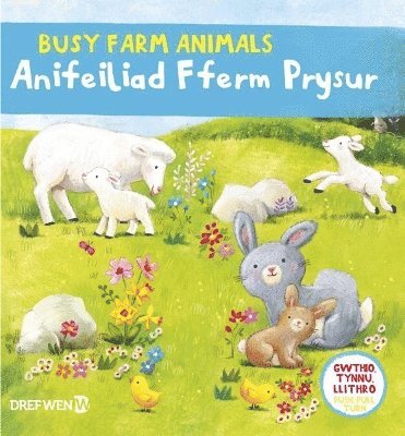 Dref Wen - Cyfres Gwthio, Tynnu, Llithro: Anifeiliad Fferm Prysur / Busy Farm Animals, Kartonnage