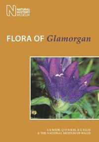 bokomslag Flora of Glamorgan