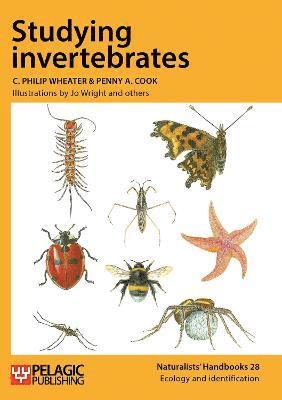 C. Philip Wheater, Penny A. Cook - Studying Invertebrates, Häftad