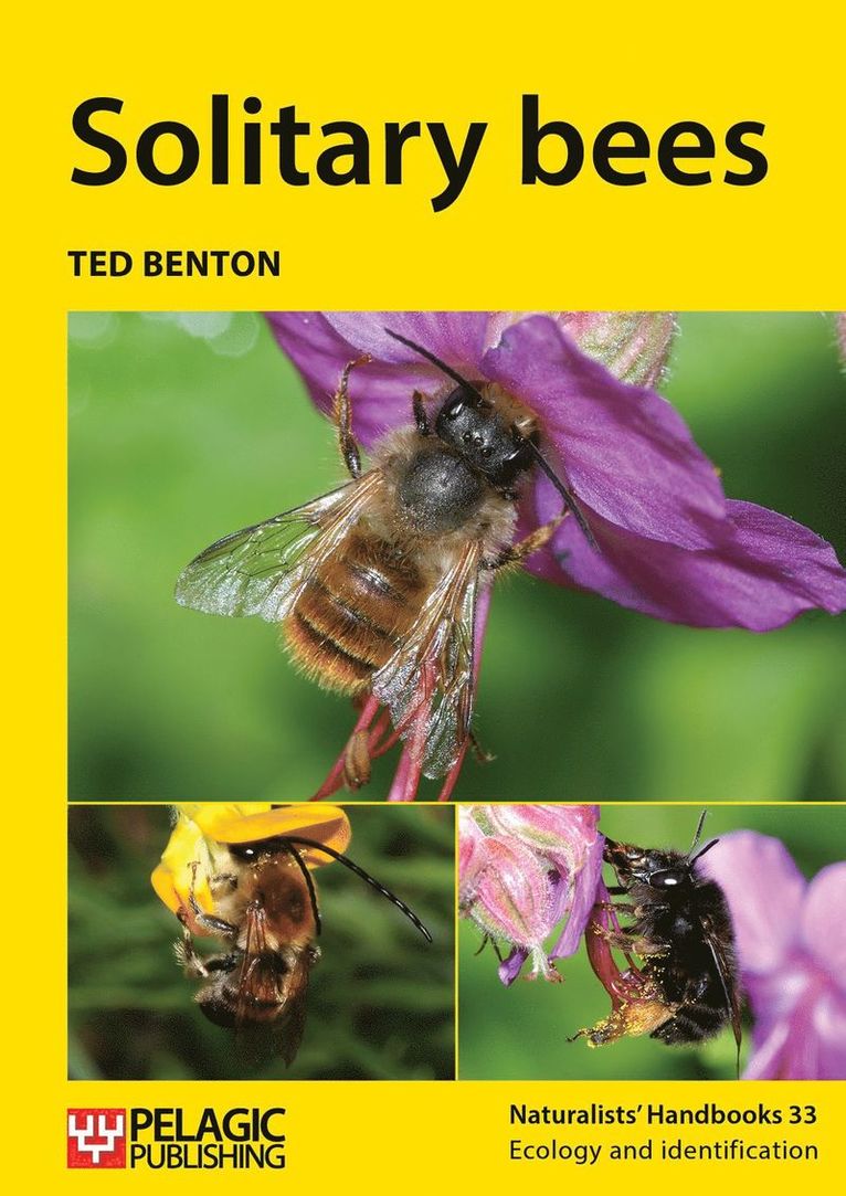 Ted Benton - Solitary bees, Häftad
