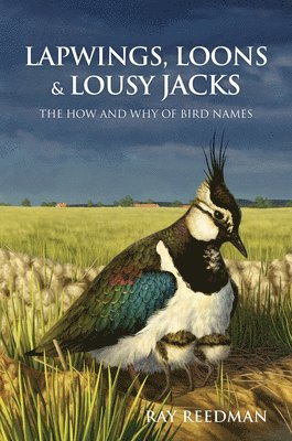 bokomslag Lapwings, Loons and Lousy Jacks