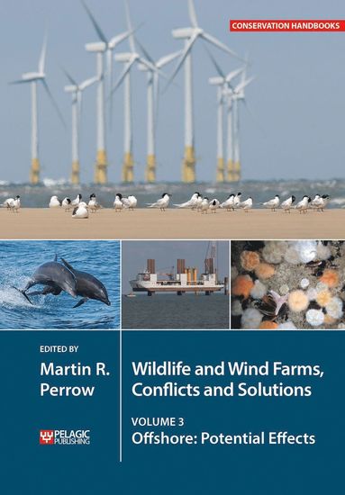 bokomslag Wildlife and Wind Farms - Conflicts and Solutions