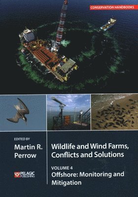 bokomslag Wildlife and Wind Farms - Conflicts and Solutions