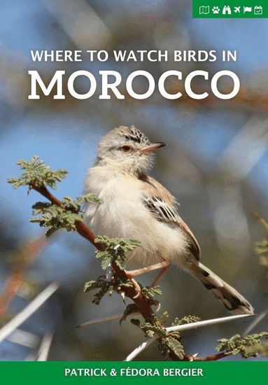 Patrick Bergier, Fedora Bergier - Where to Watch Birds in Morocco, Häftad