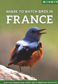 bokomslag Where to Watch Birds in France