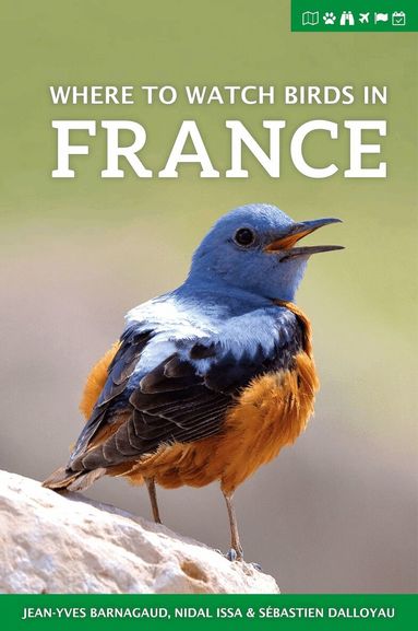 Jean-Yves Barnagaud, Nidal Issa, Sébastien Dalloyau - Where to Watch Birds in France, Häftad